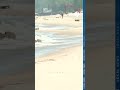 Silver Beach disturbance leads to shooting of teen at Jean Klock Park in Benton Harbor