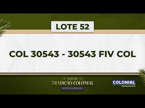 LOTE 52   COL 30543   30543 FIV COL