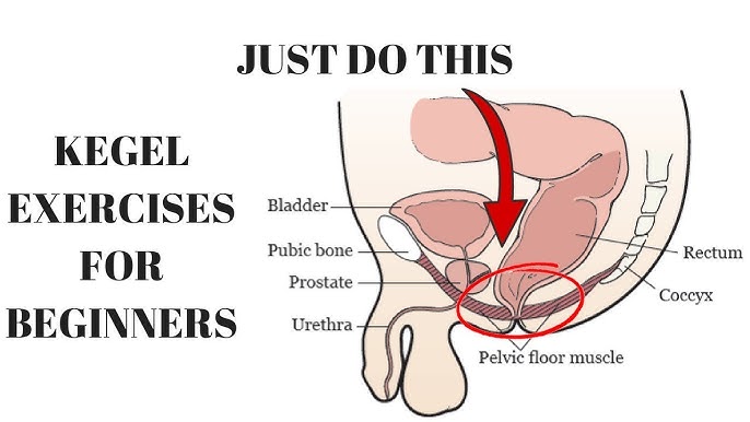 Kegel Exercise Youtube