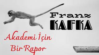 Akademi İçin Bir Rapor - Franz Kafka / Sesli Kitap