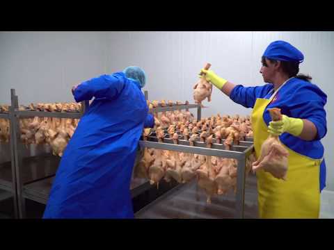 შპს ,,ნაჭარმაგევი_კარალეთის ქათამი