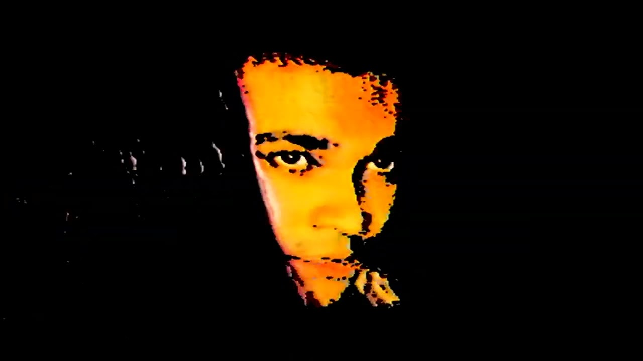 DID U RLY? - SAYAK DAS (Official Audio Visualizer)