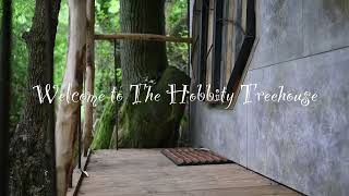 Hobbity Treehouse