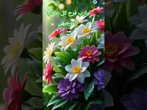 يالله علو الزغاريد الف مبروك النجاح للناجحين في التوجيهي فرحة النجاح لا تقدر بثمن الاردن