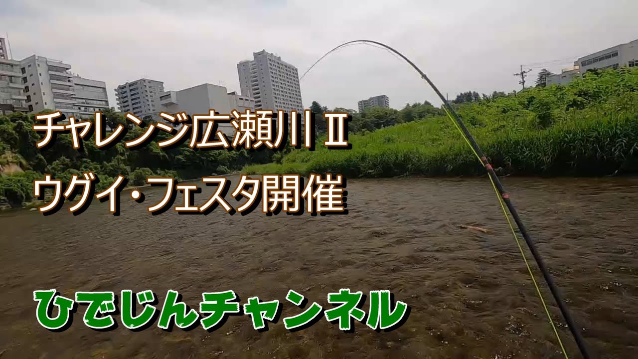 チャレンジ広瀬川Ⅱ　ウグイ・フェスタ開催
