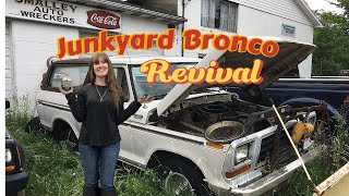 Junkyard Abandoned Ford Bronco Revival