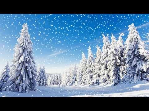 ДОБРОЕ УТРО🌸ПУСТЬ НОВЫЙ ДЕНЬ ПРИНОСИТ РАДОСТЬ🌸