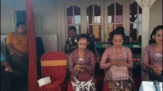 Duet ambyar Cinta terlarang dhyta Adinda  ft Qron gitaris duta nada musik'e pacitan