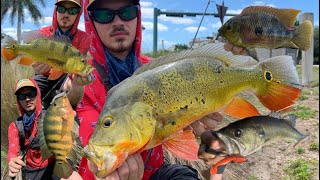 Exploring Fort Myers Canals/Fishing Naples for Peacocks | CAUGHT MY PB PEACOCK!!!