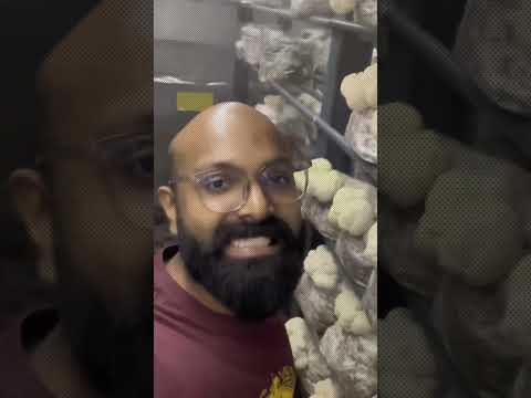 BTech കാരൊക്കെ ഇപ്പോ കൃഷിപ്പണിക്കണോ ഇറങ്ങുന്നത്..ft. GROW THE FUNGUY