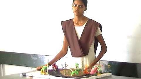 Excel Group Institutions -Science & Tech Expo 2012 Part 4