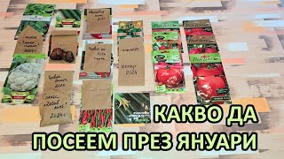 :  2025       - Tony's permaculture garden