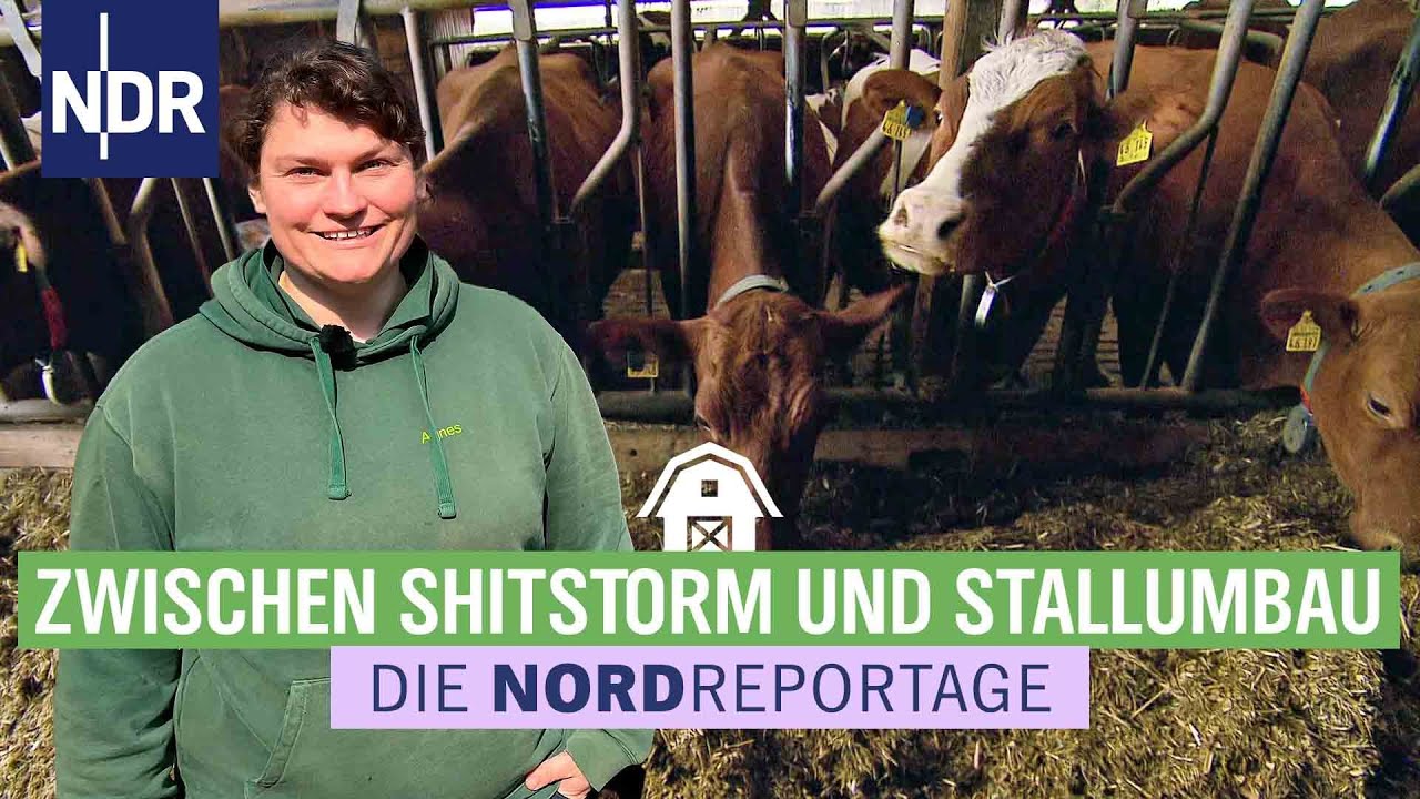 Agnes und ihre Kühe - Spagat zwischen Alltag und Social Media | Die Nordreportage | NDR