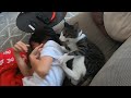 他の家ではとても理解できないうちの猫と娘の関係笑 とっても仲良しです~♪ 暴れ猫/保護猫ハナ♂
