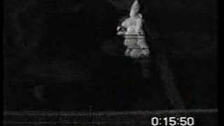 Save The Newchurch Guinea Pigs Campaign Film