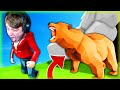ŠLI JSME KEMPOVAT A TOHLE SE STALO!😱 | Morry&@BowTeaG&@tady_lukas