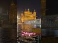 Amritsar,Golden Temple Ki Pavitra Bhoomi #shorts #viral #waheguru #bhakti #devotional#harmindersahib