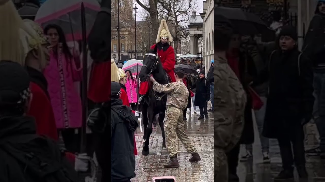 Scary Moment Spooked Horse Runs Into Street Of Tourists Thekingsguard