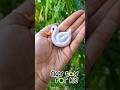 Easy superclay toy idea for toodler 🦢🪀#craft #diy #clay #diydecor #craft #ytshort #shortvideo #clay🧿