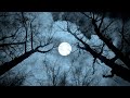 INSOMNIA Relief [Fall Asleep Fast] ★︎ Peaceful and Soothing Music ★︎ Binaural Beats, Delta Waves