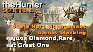 อธิบาย Herd Management และการ Stacking | แนวทางการเล่น theHunter: Call of the Wild