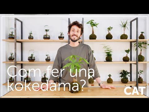 Vídeo: Picador de jardí: com fer-ho tu mateix