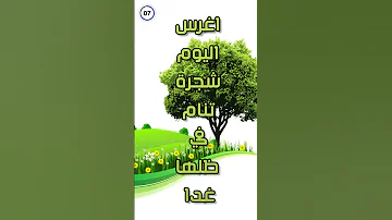 اغرس شجرة اليوم 