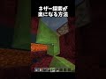 有能すぎる #shorts #マイクラ
