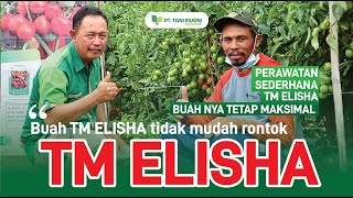 TM ELISHA Buahnya Tidak Mudah Rontok
