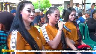 Download Lagu New Margo Laras terbaru live sedekah bumi cerme|| Hery Wijaya AUDIO SALMA MULTIMEDIA MP3