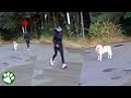Woman Tricks Senior Dog They Re Going For A Walk But Abandons Him Instead Woman Tricks Senior Dog They Re Going For A Walk But Abandons Him Instead