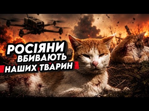 The Russians are killing not only us, but even our animals