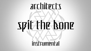 ARCHITECTS - spit the bone (Instrumental Cover) [INASTRAL]