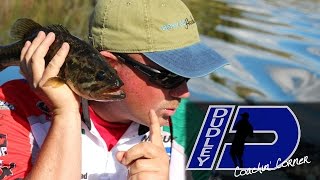 Coachin Corner B Fishing Coach?