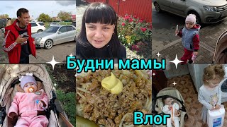 видео: Будни мамы. Влог. Вкусно готовим.Гуляем. картинка: Будни мамы. Влог. Вкусно готовим.Гуляем.