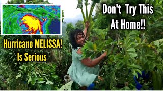 видео: Спасение в последнюю минуту! Надвигается ураган «Мелисса»! ЯМАЙКА 🇯🇲 БЕРЕГИТЕ СЕБЯ! картинка: Спасение в последнюю минуту! Надвигается ураган «Мелисса»! ЯМАЙКА 🇯🇲 БЕРЕГИТЕ СЕБЯ!