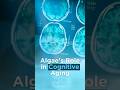 What Algae Does for the Aging Brain