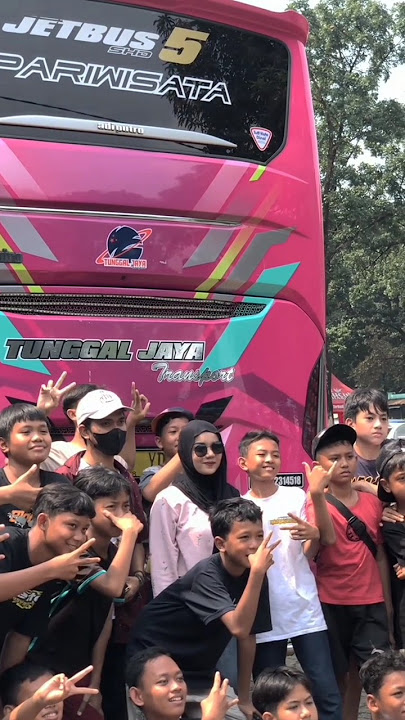 BUS TUNGGAL JAYA BLACK PINK #basuri #blackpink #tunggaljaya #trending #busmania