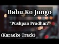 Babu ko jungo   pushpan pradhan  karaoke track  with lyrics  unplugged 