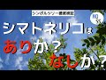 シンボルツリーとしてシマトネリコはありか？なしか？