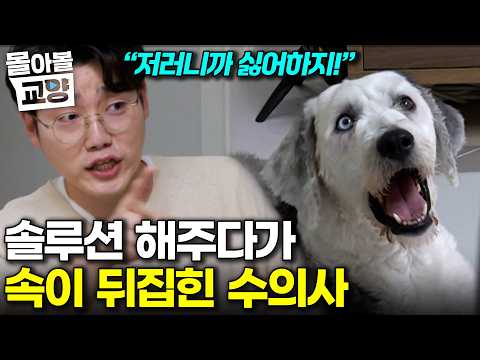 "This is terrifying": Veterinarian Seol Chae-hyun's expression hardens as he watches the video, g...