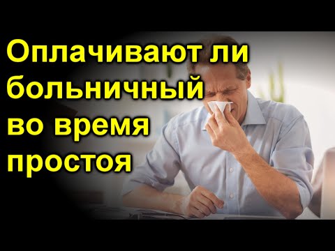 Оплачивают ли больничный во время простоя