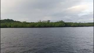Pulau Kelapan, Surga Tropis Tersembunyi di Bangka! Trip Seru Bareng Kelekak Semesta