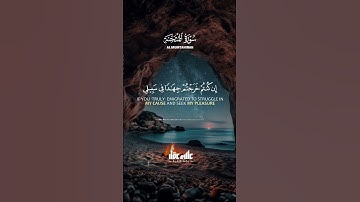 الآية اللي طمّنت قلبي