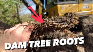 TREE ROOTS CAUSE  FLOOD  #AnswerAsAPercent 1490