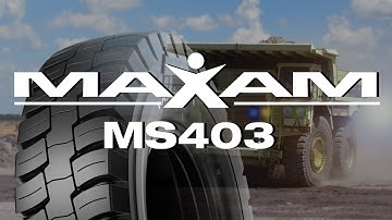 A closer look at MAXAM MS403