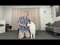 Beginning of video