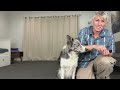 End of video