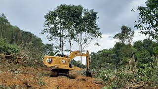 Excavator CAT Buat Steking Kebun Sawit Pribadi #exsavator #petanimuda #kelapasawit