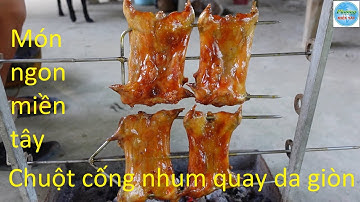 562 | Bẩy chuột cống nhum về quay da giòn | Mouse